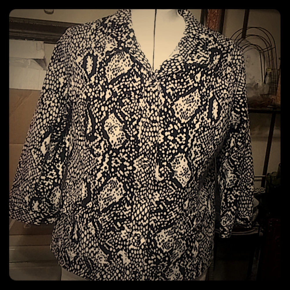 Christopher & Banks Button-Down 3/4 sleeve top.
